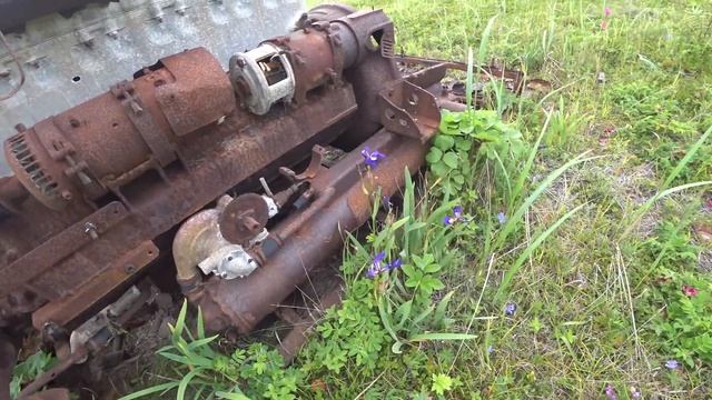 Гоняем медведей, ищем кухтыли и собираем дары шторма на мысе Терпения! смотреть онлайн