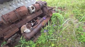 Гоняем медведей, ищем кухтыли и собираем дары шторма на мысе Терпения!