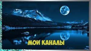 Мои каналы