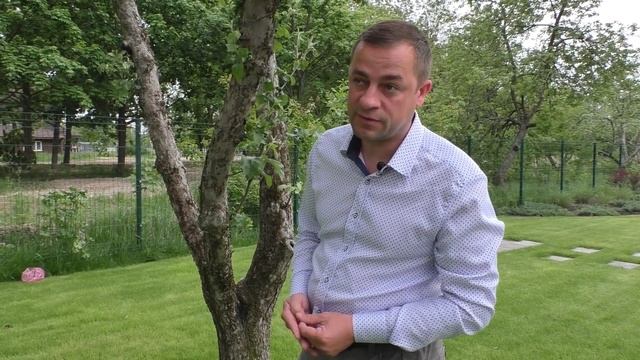 Борьба с тлей в саду, бесплатный способ. Видео с результатом. Эко-борьба с тлей.