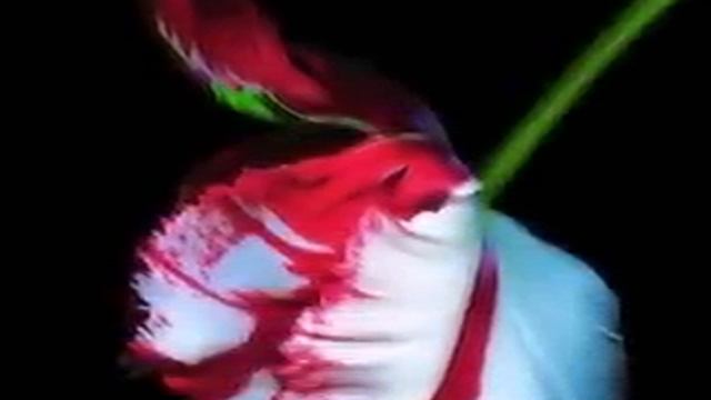 The River Flows In You by: Yiruma with Download Link :D смотреть онлайн