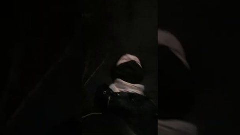 влог про жив