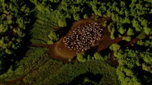 Дом. Свидание с планетой.mkv