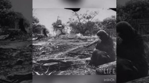 «Мать» автор Иван Варрава