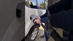 Новая Нива и её проблемы. Настя Туман убедилась в этом.