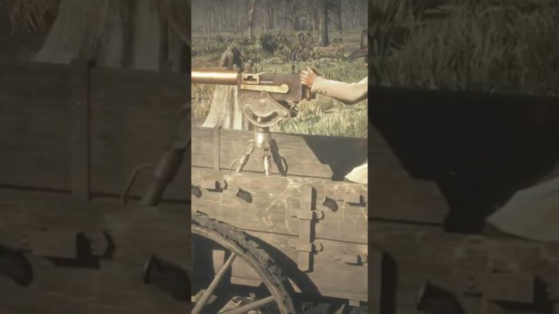 RDR2 Shorts