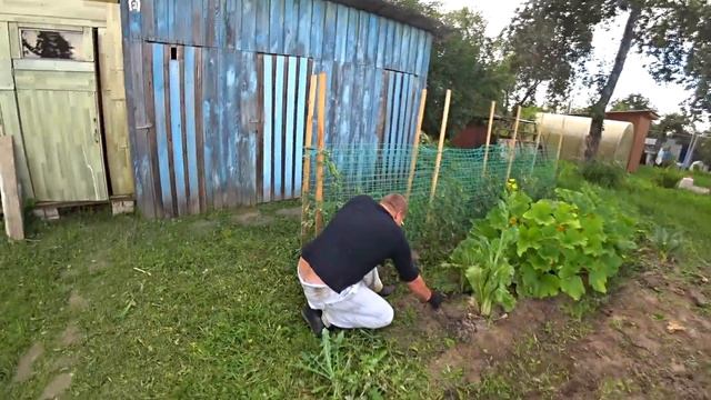 Заросшая дача! Уборка за один день - столько мы еще не работали!