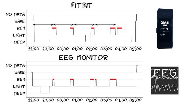 FitBit sleep prediction: scientific test (full year)! смотреть онлайн