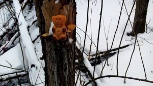 Бухаю с Барни в лесу