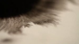 Как рисовать чернилами и водой