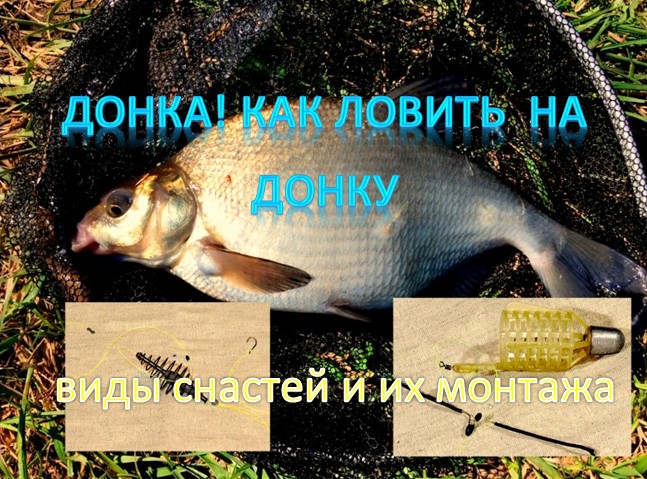 ДОНКА! Как ловить на донку: виды снастей и их монтажа
