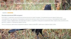 Отзывы smmapp.ru платный трафик сайт