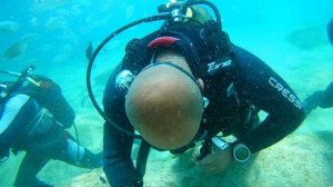 Дайвинг/Фокусы под водой