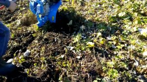 Мотоблок Нева МБ-23Я-(МХ300) с двигателем Yamaha MX300