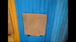 Защита пчёл от птиц зимой