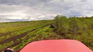 Вжик и компания