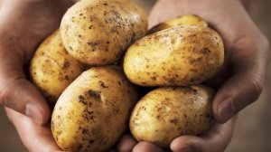 Что нельзя есть на кето диете?│Запрещенные продукты на кето диете