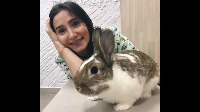 АЛЕВТИНА ОЖИВАЕТ.  Ничего не помнила, еле говорила. Сейчас она поступила в ВУЗ