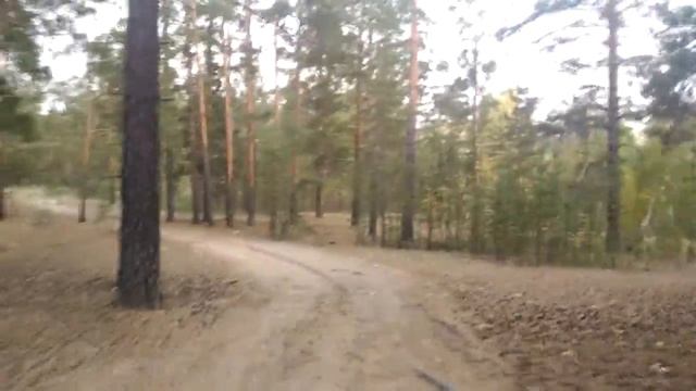 Поездка в Малиновое озеро Алтайского края