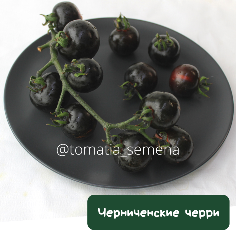 Черниченские черри