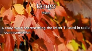 Tango Meaning : Definition of Tango