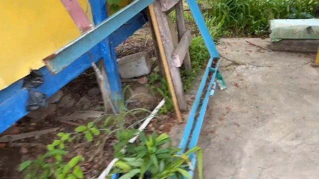 У нас похолодало , дома делаю вкусняшки!! смотреть онлайн