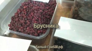 Ягоды вяленые. Черника, брусника, малина, земляника и т.д