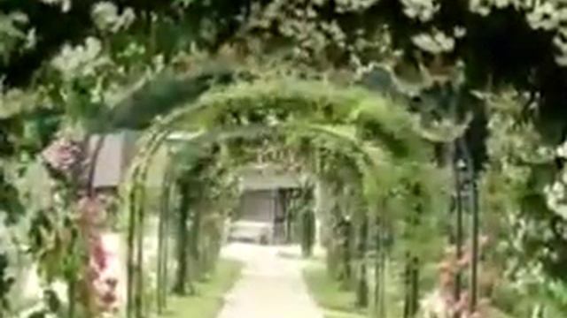 Любовь мужа к жене в исламе смотреть онлайн