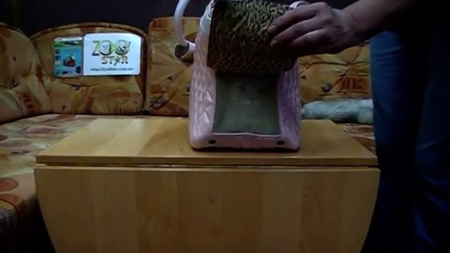 Cумка переноска для собак, кошек 144 ZooStar.com.ua смотреть онлайн