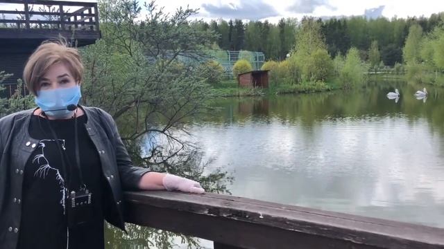 Эта птица - великан, а зовется - пеликан