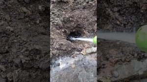 Как быстро прогнать крота