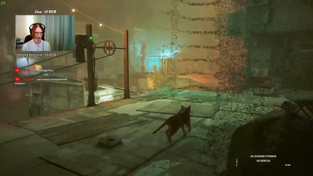 Стрим по Stray! Просто потому что могу смотреть онлайн