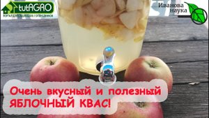 ОЧЕНЬ ВКУСНЫЙ ЯБЛОЧНЫЙ КВАС. 2 рецепта: с градусами и без. Готовим дома САМЫЙ ПОЛЕЗНЫЙ НАПИТОК ОСЕНИ