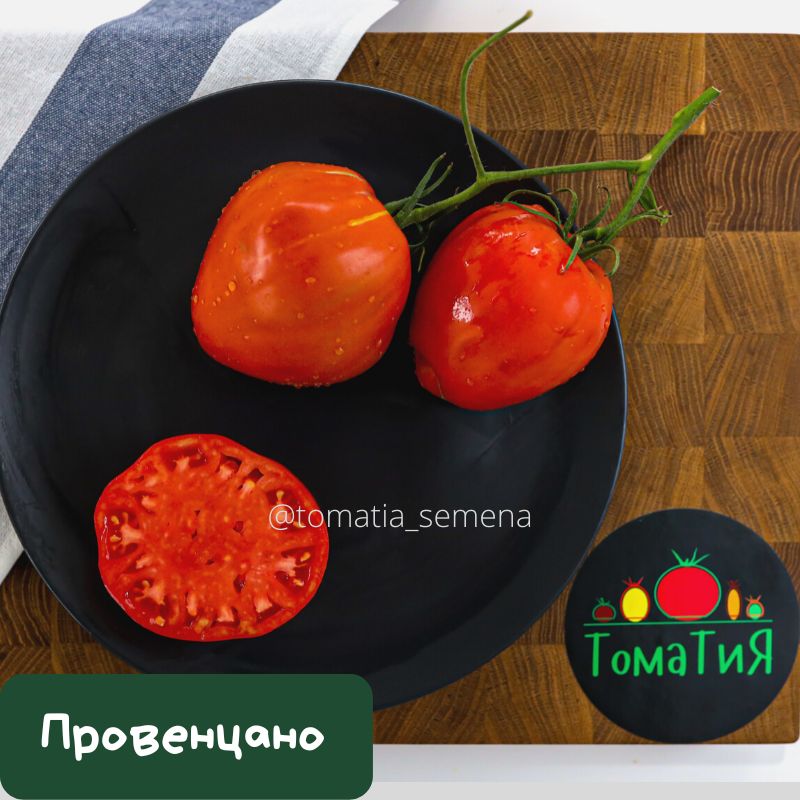 Провенцано