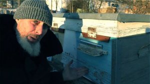 ЛЕТКИ ЗИМОЙ. ЗАКРЫВАТЬ ИЛИ ОТКРЫВАТЬ?