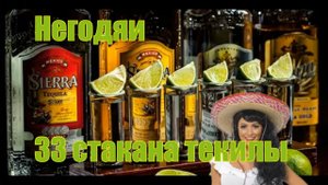 Негодяи или 33 стакана текилы (научный подвиг Антонио).mp4