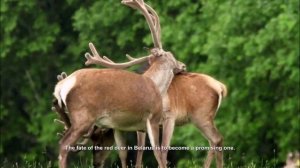 Кто такой ИЗЮБРЬ?