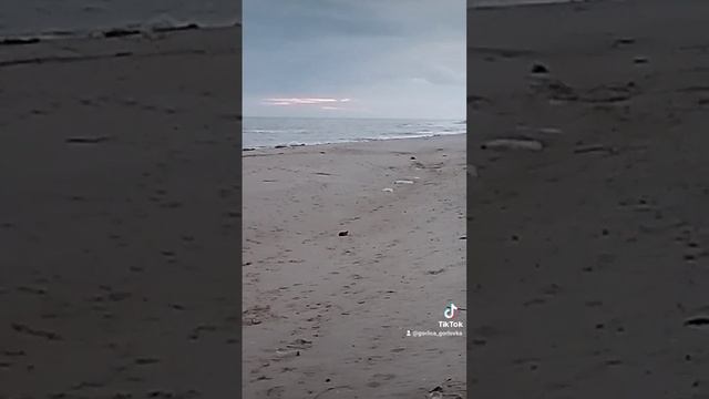 Море. Февраль