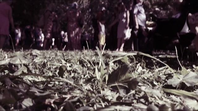 Почему кедровник открывается только один раз в год смотреть онлайн