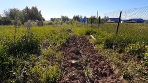 Компост. Компостная куча без ограждения. Теплая грядка на 5 и более лет. 4 июня 2021г.