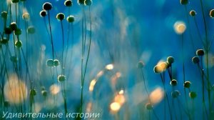Жених бросил невесту ради богатой любовницы. Но проснувшись утром, он застыл, увидев перед собой...