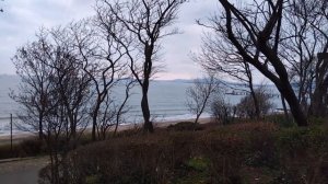 Болгария. Бургас. 8 марта!!! Прогулка по парку Бургаса.