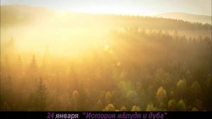 История жёлудя и дуба (анонс)