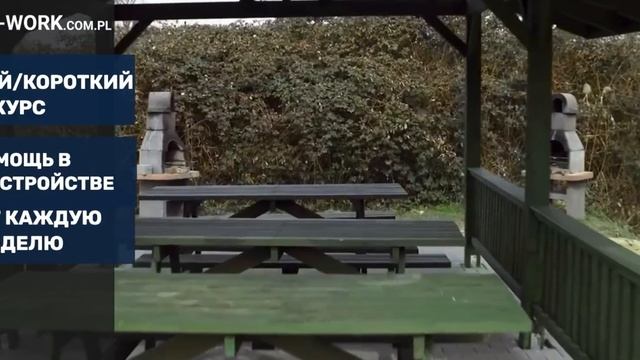 Обучение на Код 95 ? смотреть онлайн