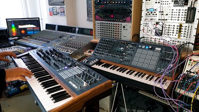 Sound of: Arturia PolyBrute Synth (Warning: My presets, so not only but lot of Dark & Disto sounds