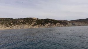 Селедка, хамса,  и ставридка. Рыбалка с лодки в Анапском районе