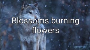 Green Apelsin | North Wind (ENGLISH SUB) | Северный ветер