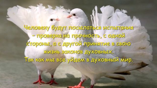 Молитва в помощь! смотреть онлайн