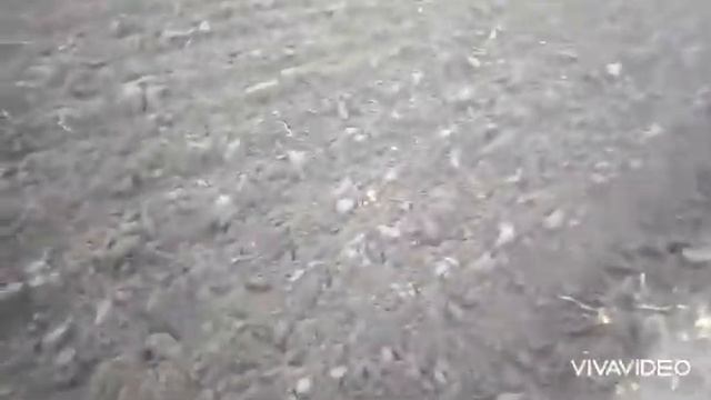 пашем огород осенью мотоблоком кентавр