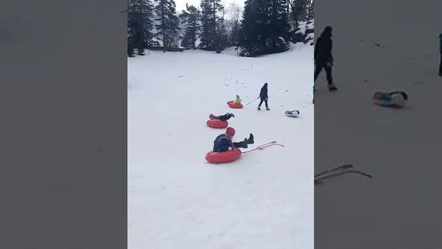 Спуск с горы Лагонаки на таблетке. Катания с горки. Дети.